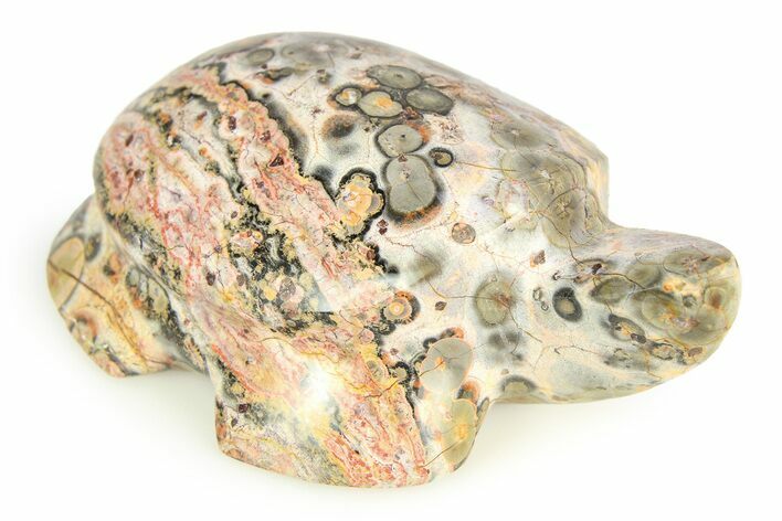 Carved Leopard Stone Turtle - Mexico #308287